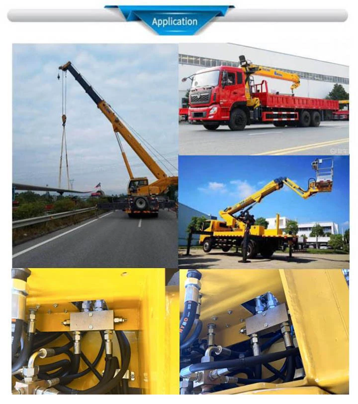 Hydraulic Components Double Overcenter Valve